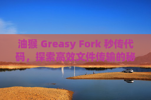 油猴 Greasy Fork 秒传代码，探索高效文件传输的秘密